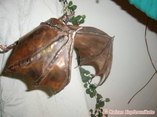 FledermSeitenans