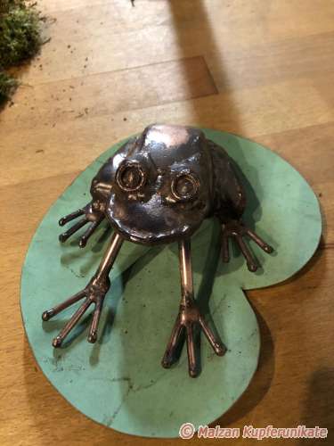 Frosch, naturgetreu