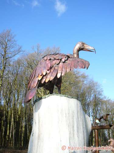 Groer Geier