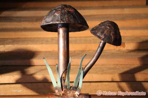 Pilze auf dem Dach