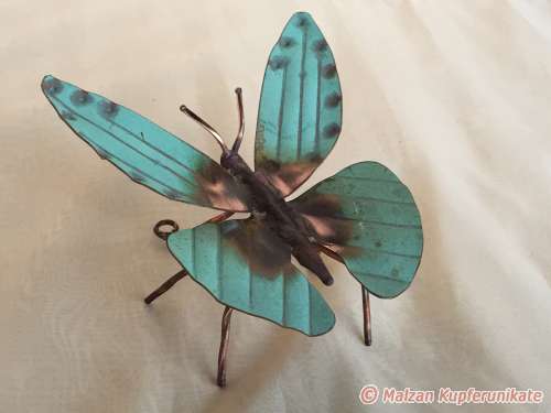 Schmetterling