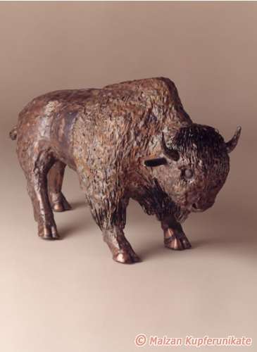 Bison