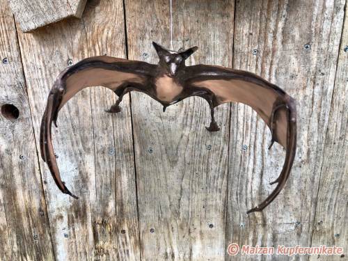 Kl. Fledermaus
