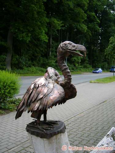 Kleiner Gnsegeier