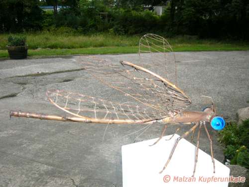 Große Libelle