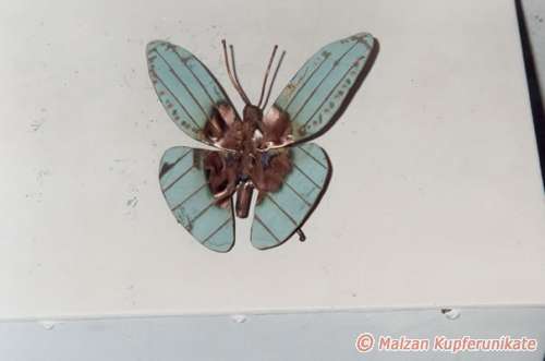 Schmetterling mit Patinaflügel