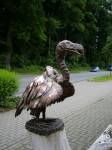 Kleiner Gnsegeier